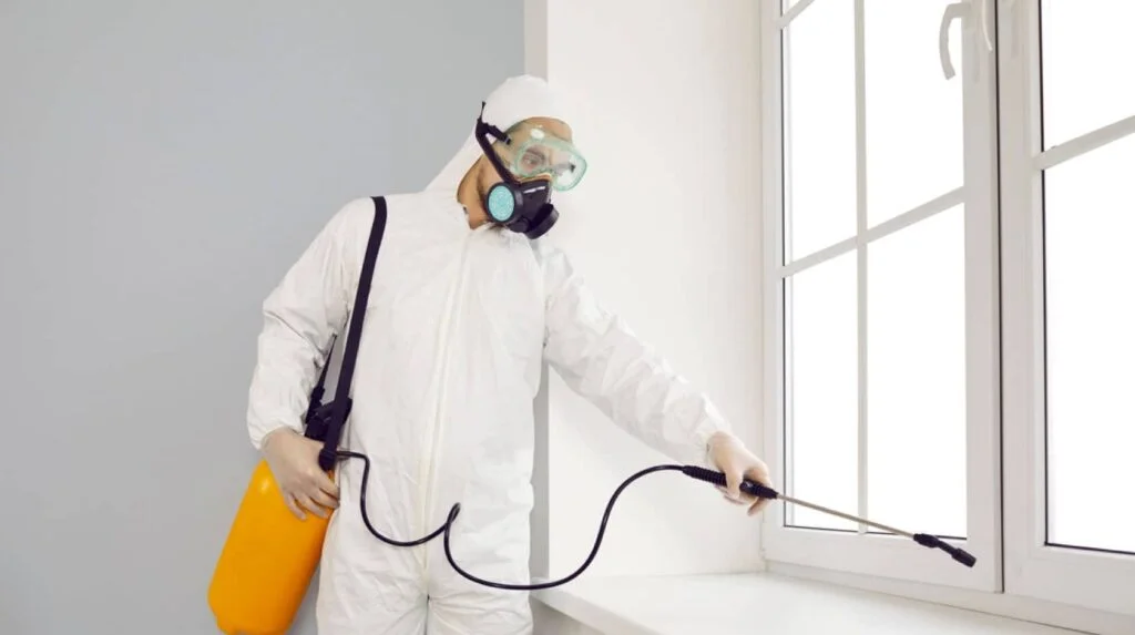 Servicio urgente de control de plagas en Getafe: chinches, sarna, legionella y aire interior. Servicio urgente de control de plagas en Getafe: chinches, sarna, legionella y aire interior.